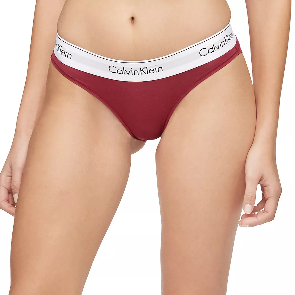Calvin Klein Modern Cotton Bikini Panty F3787 - Image 2